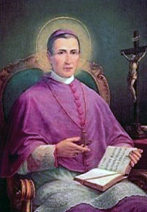 Sant' Antonio Maria Gianelli Vescovo